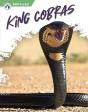 King Cobras - Preview