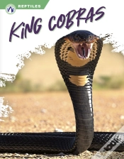 Capa do artigo King Cobras