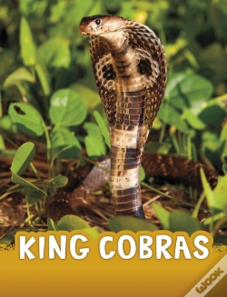 Capa do artigo King Cobras