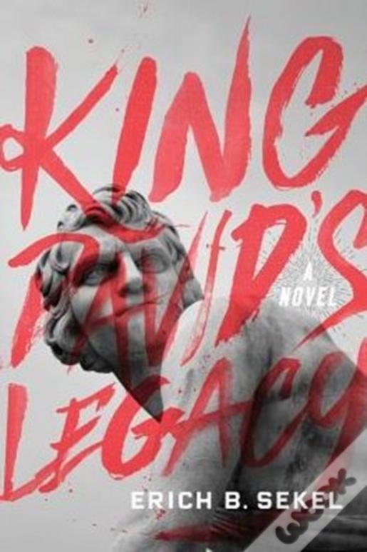 King David'S Legacy: A Novel