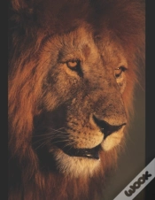Capa do artigo King Jesus Version