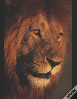Capa do artigo King Jesus Version