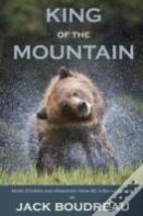 King Of The Mountain