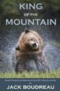King Of The Mountain - Preview