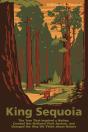 King Sequoia - Preview