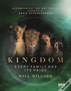 Capa do artigo Kingdom