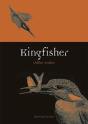 Kingfisher - Preview