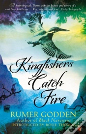 Capa do artigo Kingfishers Catch Fire