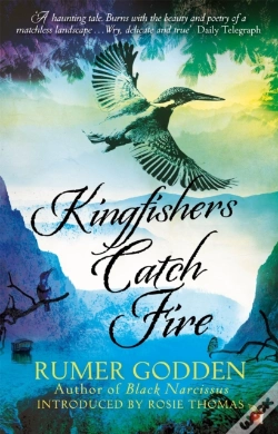 Capa do artigo Kingfishers Catch Fire