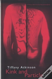 Capa do artigo Kink And Particle