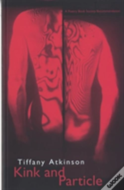 Capa do artigo Kink And Particle
