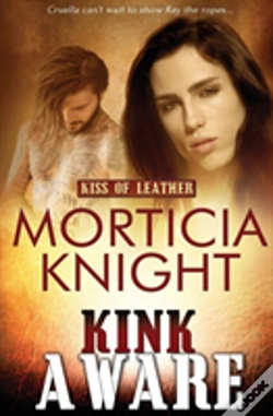 Capa do artigo Kink Aware