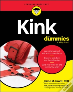 Capa do artigo Kink For Dummies