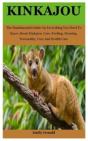 Kinkajou - Preview