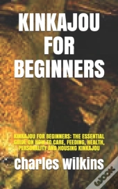 Kinkajou For Beginners