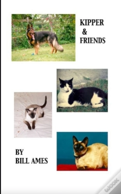 Capa do artigo Kipper & Friends