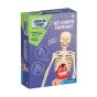 Kit Corpo Humano Ciência & Jogo 67371 - Preview