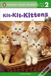 Capa do artigo Kit-Kit-Kittens