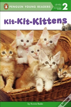 Capa do artigo Kit-Kit-Kittens