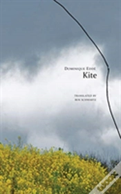 Capa do artigo Kite