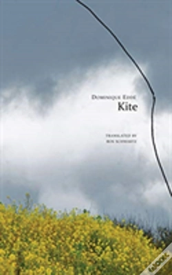 Capa do artigo Kite
