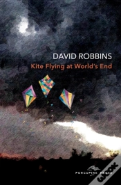 Capa do artigo Kite Flying At World