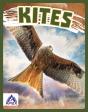Kites - Preview