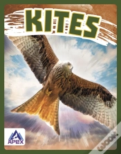 Capa do artigo Kites