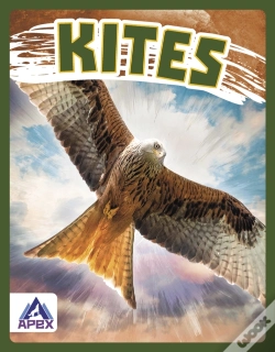 Capa do artigo Kites