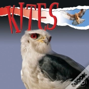 Capa do artigo Kites