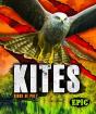 Kites - Preview