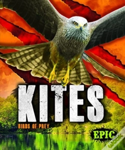 Capa do artigo Kites