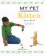 Kitten - Preview