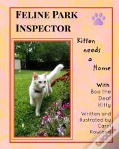 Kitten Needs A Home