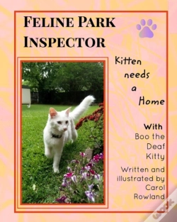 Capa do artigo Kitten Needs A Home