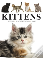 Capa do artigo Kittens