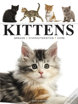 Capa do artigo Kittens
