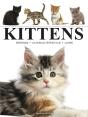 Kittens - Preview