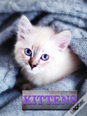 Capa do artigo Kittens