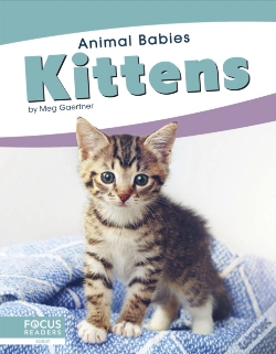 Capa do artigo Kittens