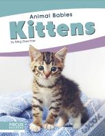 Kittens
