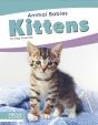 Kittens - Preview