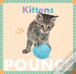 Kittens Pounce