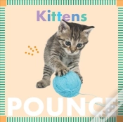 Capa do artigo Kittens Pounce