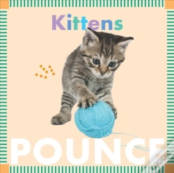 Capa do artigo Kittens Pounce