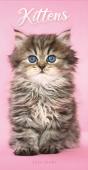 Kittens Slim Diary 2024 - Preview