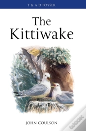 Capa do artigo Kittiwake