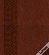 Capa do artigo Kjv Expressions Bible