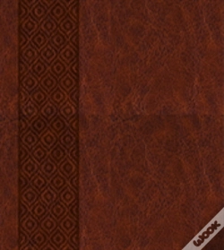 Capa do artigo Kjv Expressions Bible