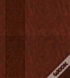 Kjv Expressions Bible